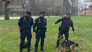 Parma: allarme bocconi avvelenati al Parco Ducale ed in zona S. Eurosia.