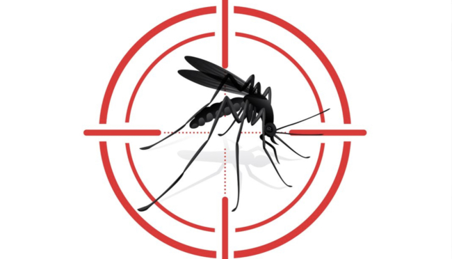 Crisanti: Uno zanzarologo d’attacco