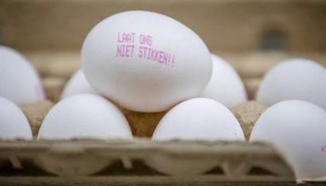 Dopo il Fipronil nuovo scandalo europeo per le uova contaminate?