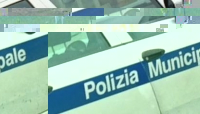 Modena - La Municipale sequestra 29 sacchetti di noci a un ambulante