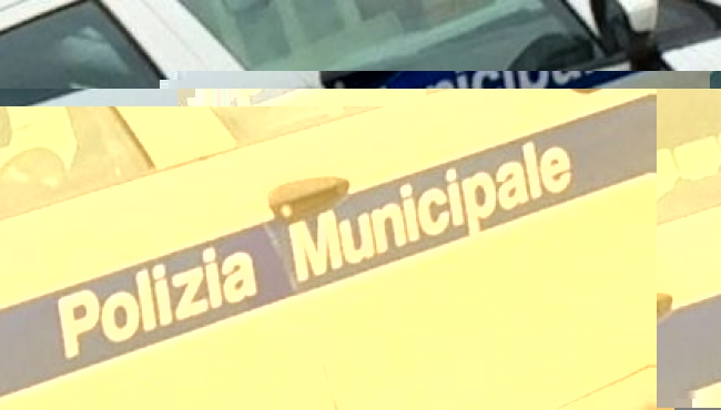 Modena - La Municipale sequestra 29 sacchetti di noci a un ambulante