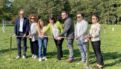 Bosco Urbano “Margherita”: un nuovo polmone verde nel quartiere Parma Mia
