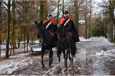 A Parma le pattuglie a cavallo dei Carabinieri