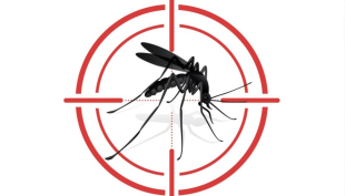 Piacenza. Dengue, sospese per maltempo le disinfestazioni porta a porta