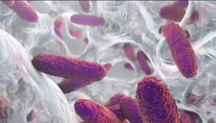 Preoccupante aumento della resistenza batterica agli antibiotici