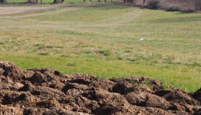 Consumo di suolo: dai dati ufficiali il Comune di Parma secondo in regione con 61 km2