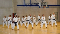 Da tutta l’Emilia-Romagna al Bolognese per un pomeriggio di Karate