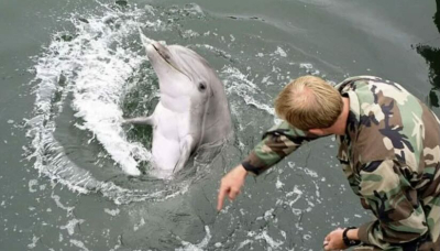 I russi raddoppiano il numero dei delfini combattenti