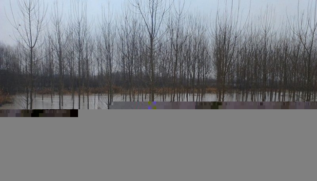 Modena - Alluvione, Rete Imprese sulla bozza dell&#039;Ordinanza Regionale per i contributi alle imprese alluvionate