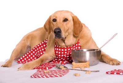 Cucina casalinga per cani: nuova tendenza food