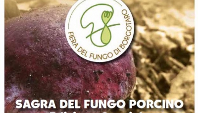 Da sabato 12 settembre prende vita la Fiera del Fungo Porcino di Borgotaro - (Video)