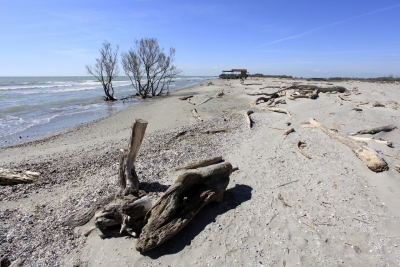 La resilienza degli ecosistemi dell&#039;Adriatico e l&#039;impatto dell&#039;attività umana sulle aree costiere