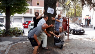 Paolo Mario Buttiglieri In soccorso degli alberi di Piacenza a sostegno della battaglia di Alberto Esse