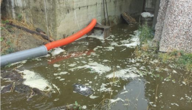Parma, ancora scarichi di liquami nel rio Termina, altra azienda agricola sanzionata