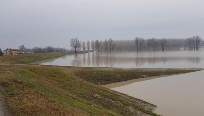Fiume ENZA alluvione - Sorbolo (PR)