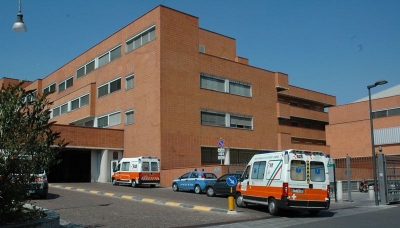 Salmonellosi: numerosi casi a Piacenza