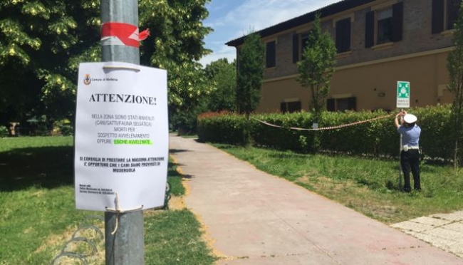 Modena, sospetta polpetta avvelenata al parco XXII Aprile: attenzione