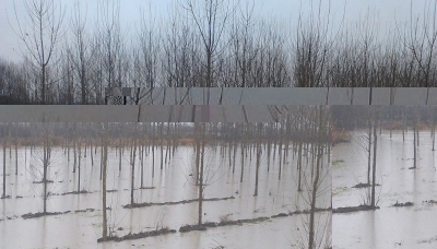 Modena - Alluvione, in vigore il decreto-legge che stanzia 210 milioni di euro per il territorio della provincia